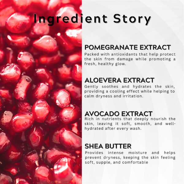 Pomegranate & Avocado Body Wash –16.91 fl.oz | 500ml - Hydrating & Gentle Cleanser with Aloe Vera & Shea Butter for Soft, Smooth Skin – Sulfate & Paraben Free Shower Gel for Men & Women. - Image 3