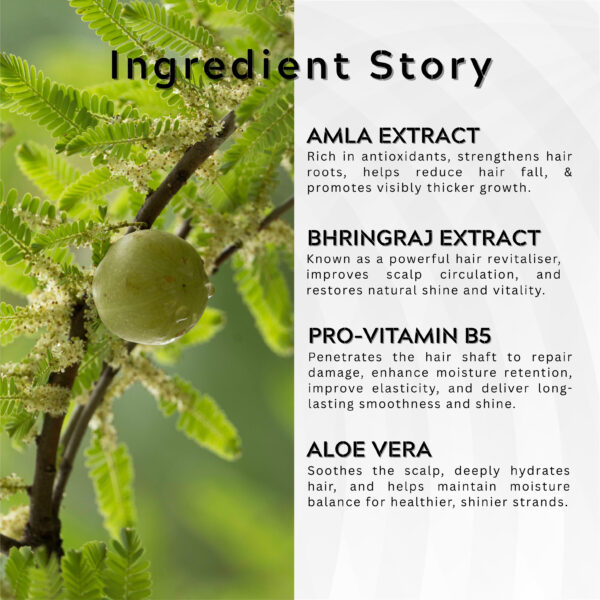 Amla Bhringraj Shampoo with Pro-Vitamin B5 & Aloe Vera – Daily Hair Cleanser for Soft & Manageable Hair – Suitable for Men & Women, All Hair Types - Image 3