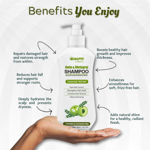 Amla Bhringraj Shampoo with Pro-Vitamin B5 & Aloe Vera – Daily Hair Cleanser for Soft & Manageable Hair – Suitable for Men & Women, All Hair Types - Image 7